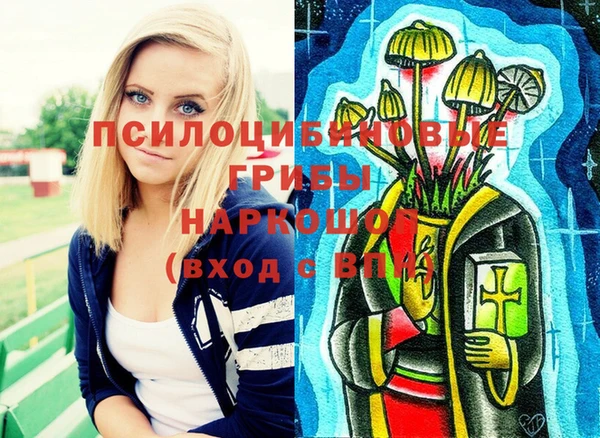 твердый Абаза