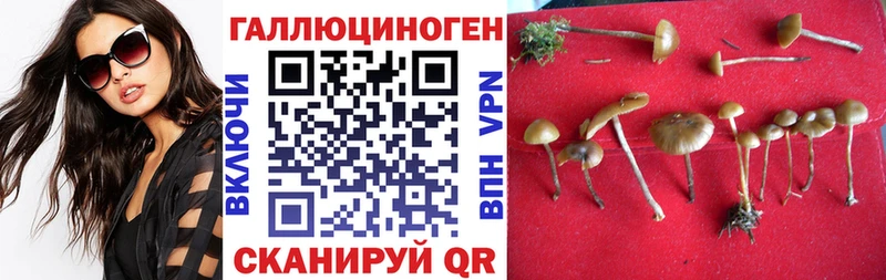Псилоцибиновые грибы Magic Shrooms  ссылка на мегу как зайти  Козловка 